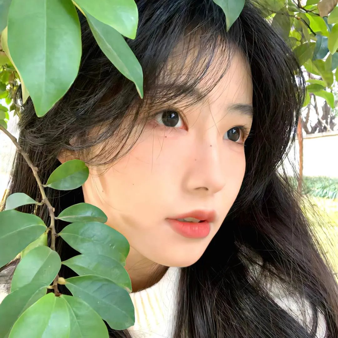 交配后失魂